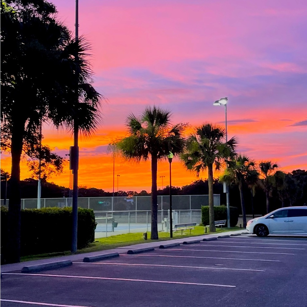 Meet your Posher, Ariana